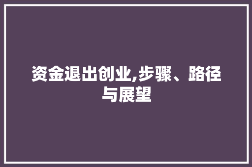 资金退出创业,步骤、路径与展望