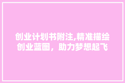 创业计划书附注,精准描绘创业蓝图，助力梦想起飞