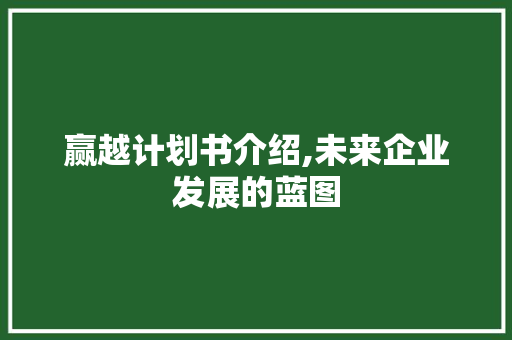 赢越计划书介绍,未来企业发展的蓝图