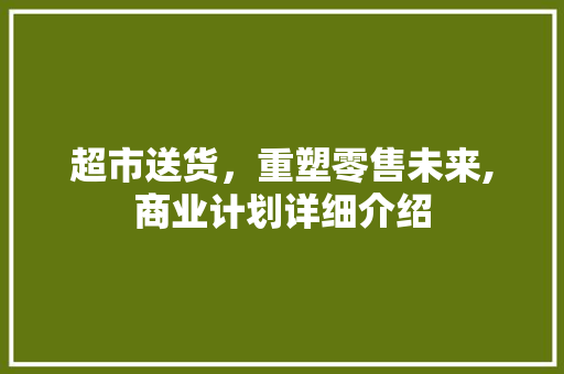 超市送货，重塑零售未来,商业计划详细介绍