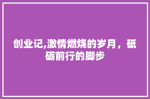 创业记,激情燃烧的岁月，砥砺前行的脚步