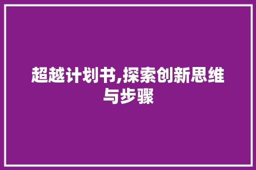 超越计划书,探索创新思维与步骤