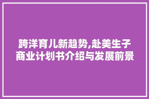 跨洋育儿新趋势,赴美生子商业计划书介绍与发展前景展望