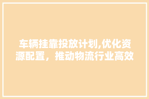 车辆挂靠投放计划,优化资源配置，推动物流行业高效发展