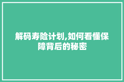 解码寿险计划,如何看懂保障背后的秘密