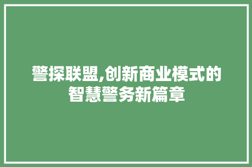 警探联盟,创新商业模式的智慧警务新篇章 生活随笔