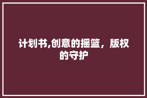 计划书,创意的摇篮，版权的守护