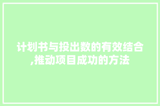 计划书与投出数的有效结合,推动项目成功的方法