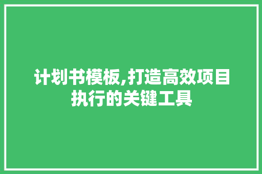 计划书模板,打造高效项目执行的关键工具 采访稿