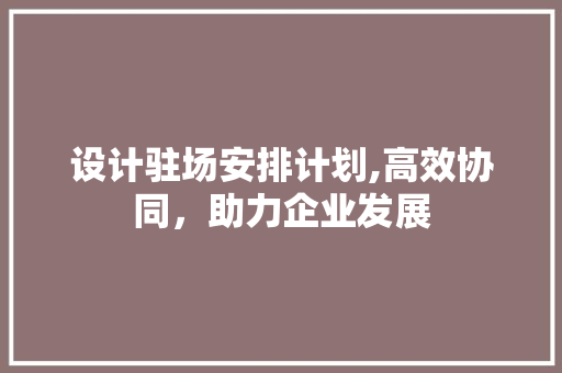 设计驻场安排计划,高效协同，助力企业发展