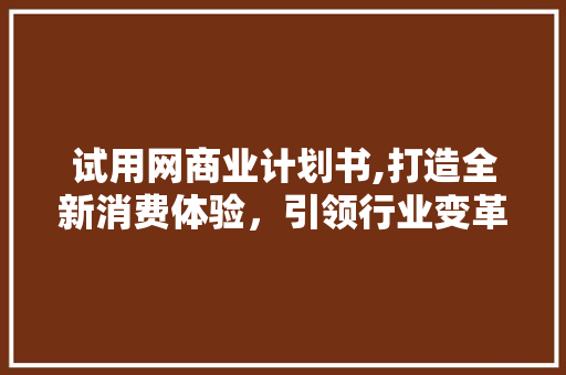 试用网商业计划书,打造全新消费体验，引领行业变革