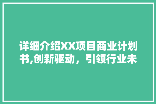详细介绍XX项目商业计划书,创新驱动，引领行业未来