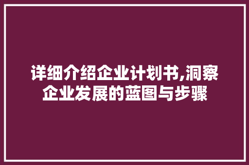 详细介绍企业计划书,洞察企业发展的蓝图与步骤 生活类