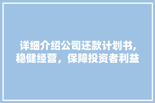详细介绍公司还款计划书,稳健经营，保障投资者利益