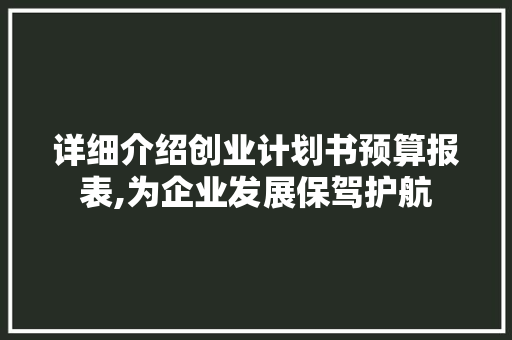 详细介绍创业计划书预算报表,为企业发展保驾护航 商业文稿