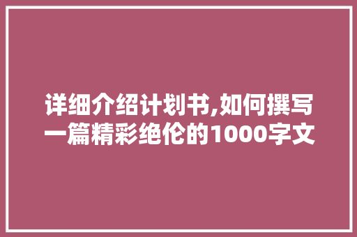 详细介绍计划书,如何撰写一篇精彩绝伦的1000字文章