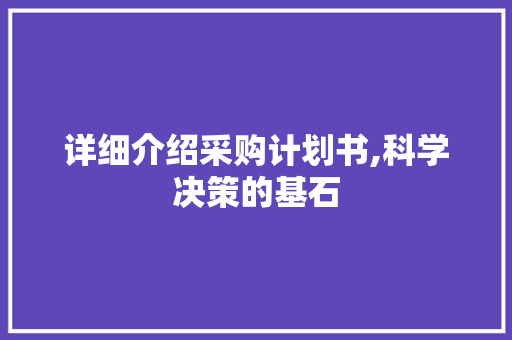 详细介绍采购计划书,科学决策的基石