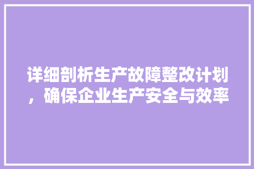 详细剖析生产故障整改计划，确保企业生产安全与效率