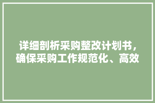 详细剖析采购整改计划书，确保采购工作规范化、高效化