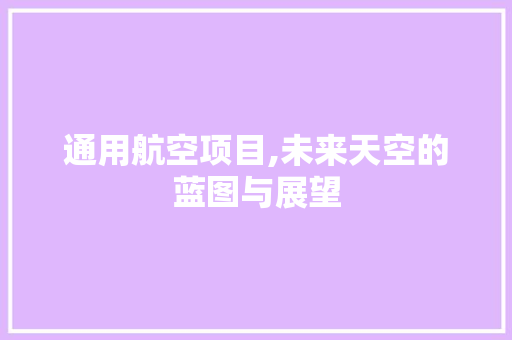 通用航空项目,未来天空的蓝图与展望
