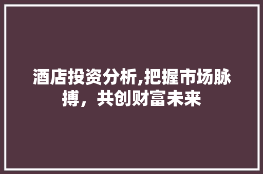 酒店投资分析,把握市场脉搏，共创财富未来