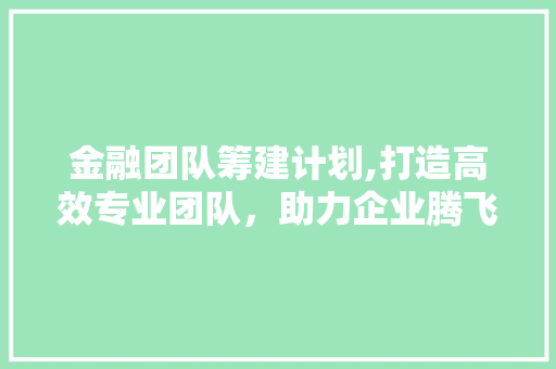 金融团队筹建计划,打造高效专业团队，助力企业腾飞