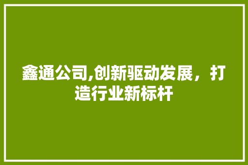 鑫通公司,创新驱动发展，打造行业新标杆