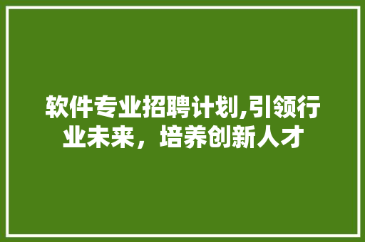 软件专业招聘计划,引领行业未来，培养创新人才