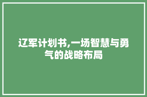 辽军计划书,一场智慧与勇气的战略布局