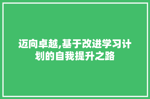 迈向卓越,基于改进学习计划的自我提升之路 采访稿