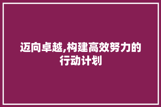 迈向卓越,构建高效努力的行动计划