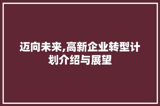 迈向未来,高新企业转型计划介绍与展望