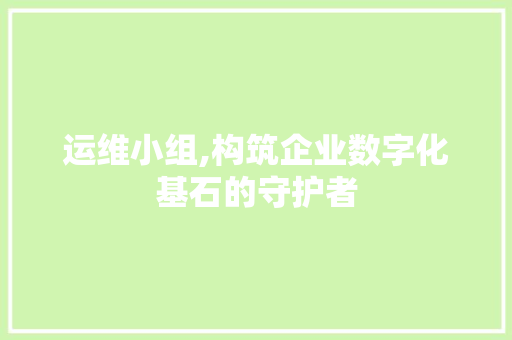 运维小组,构筑企业数字化基石的守护者