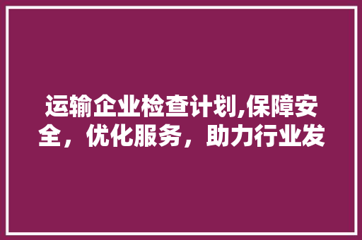 运输企业检查计划,保障安全，优化服务，助力行业发展
