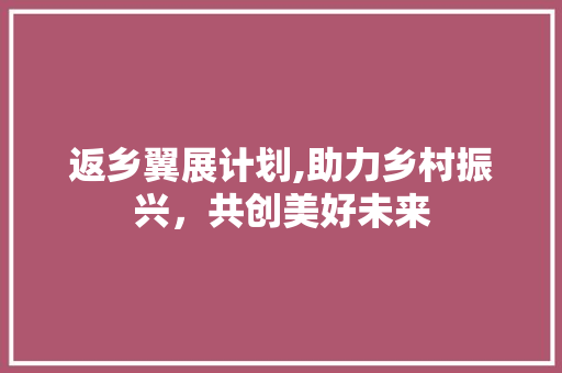 返乡翼展计划,助力乡村振兴，共创美好未来