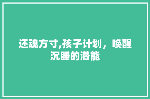 还魂方寸,孩子计划，唤醒沉睡的潜能