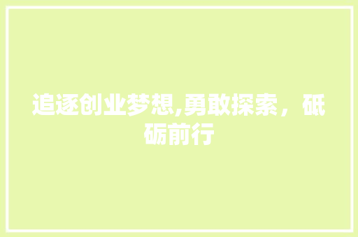 追逐创业梦想,勇敢探索，砥砺前行