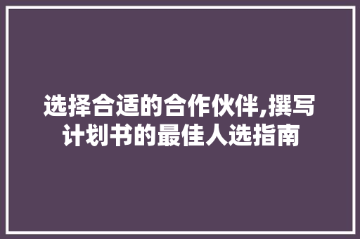 选择合适的合作伙伴,撰写计划书的最佳人选指南