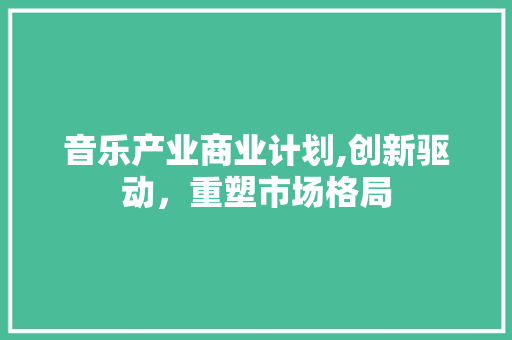 音乐产业商业计划,创新驱动，重塑市场格局