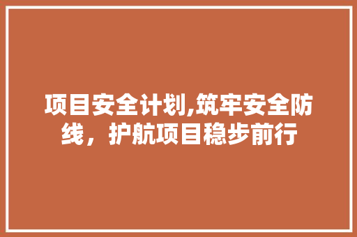 项目安全计划,筑牢安全防线，护航项目稳步前行