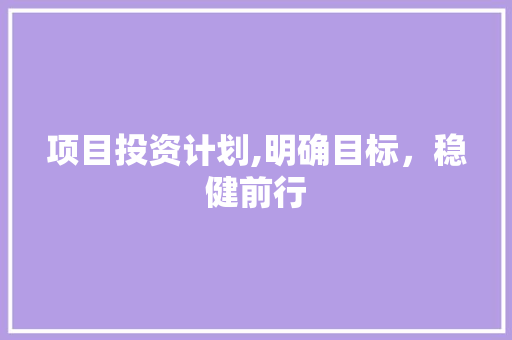 项目投资计划,明确目标，稳健前行 采访稿