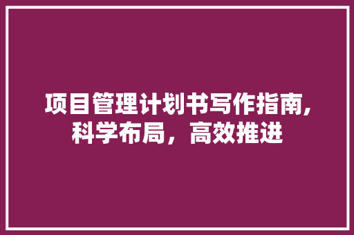 项目管理计划书写作指南,科学布局，高效推进