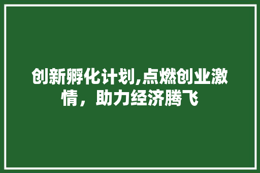 创新孵化计划,点燃创业激情，助力经济腾飞