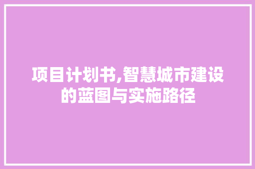 项目计划书,智慧城市建设的蓝图与实施路径 生活类