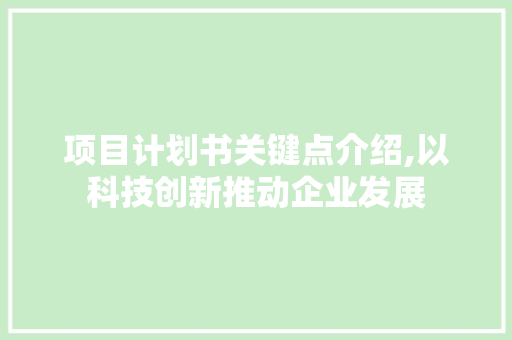 项目计划书关键点介绍,以科技创新推动企业发展