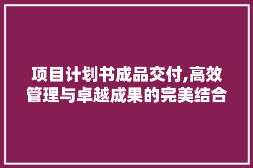 项目计划书成品交付,高效管理与卓越成果的完美结合 工作总结