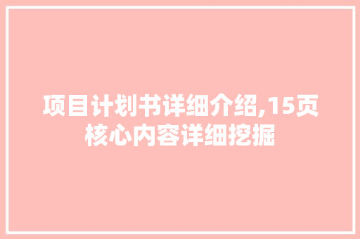 项目计划书详细介绍,15页核心内容详细挖掘 生活感悟