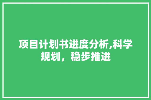 项目计划书进度分析,科学规划，稳步推进 工作报告