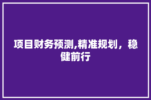 项目财务预测,精准规划，稳健前行 采访稿