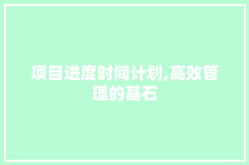 项目进度时间计划,高效管理的基石